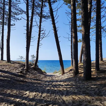 La Ola Z Tarasem * Mielno (Koszalin)